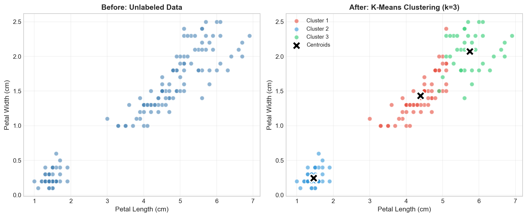 K-Means clustering result on Iris data